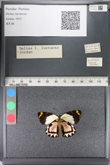 Media type: image;   Entomology 128256